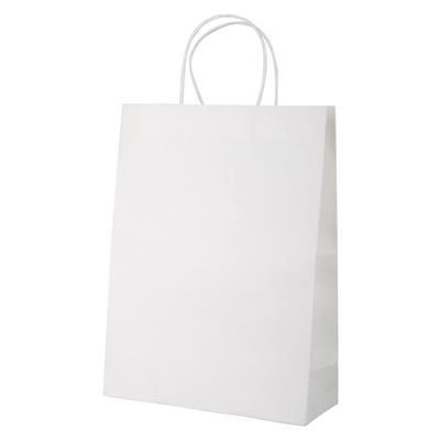 Branded Promotional MALL PAPER BAG Carrier Bag From Concept Incentives.