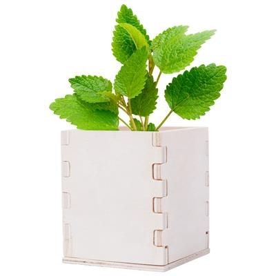 Branded Promotional MINTS HERB POT MERIN Seeds From Concept Incentives.