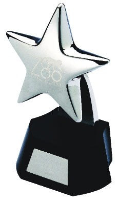 Branded Promotional STAR TROPHY AWARD in Silver Plated Metal Finish Award From Concept Incentives.