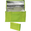 Branded Promotional RAINHAM 12 CAN COOL BAG in Lime Green Cool Bag From Concept Incentives.