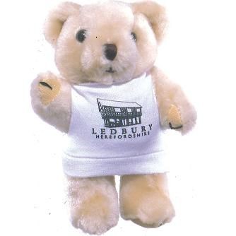 Branded Promotional HONEY BEAR with Printed Tee Shirt Soft Toy From Concept Incentives.