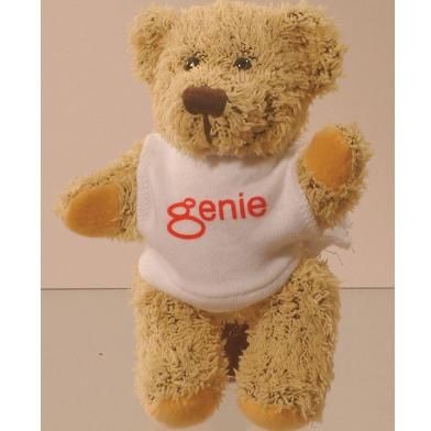 Branded Promotional KORKY PROMOTIONAL BEAR with Printed Tee Shirt Soft Toy From Concept Incentives.