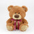 Branded Promotional 25CM CHARLIE BEAR with Sash Soft Toy From Concept Incentives.