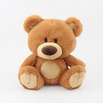 Branded Promotional 25CM CHARLIE BEAR with Tee Shirt Soft Toy From Concept Incentives.