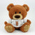 Branded Promotional 25CM CHARLIE BEAR with Bow Soft Toy From Concept Incentives.