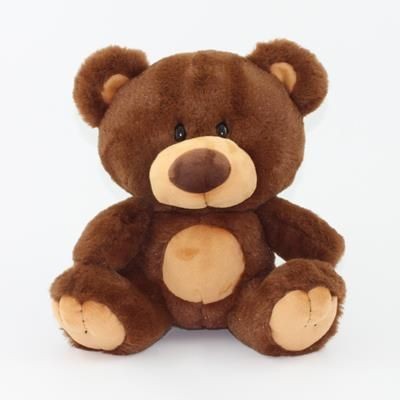 Branded Promotional 15CM CHARLIE BEAR with Tee Shirt Soft Toy From Concept Incentives.