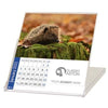 Branded Promotional CD DESK CALENDAR Calendar From Concept Incentives.