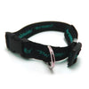 Branded Promotional SILKSCREEN PRINTED PET COLLAR Collar From Concept Incentives.