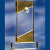 Branded Promotional GOLDEN GLASS AWARD TROPHY Award From Concept Incentives.