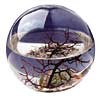 Branded Promotional ROUND ECOSPHERE Ecosphere From Concept Incentives.