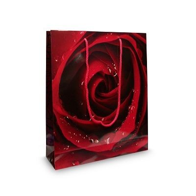 Branded Promotional LUXURY LAMINATED PAPER EXHIBITION CARRIER BAG Carrier Bag From Concept Incentives.