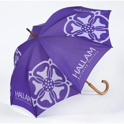 Branded Promotional FASHION UMBRELLA Umbrella From Concept Incentives.