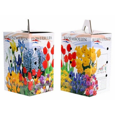 Branded Promotional FLOWER BULBS Seeds From Concept Incentives.