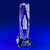 Branded Promotional CRYSTAL GLASS FOOD & BEVERAGE PAPERWEIGHT OR AWARD Award From Concept Incentives.