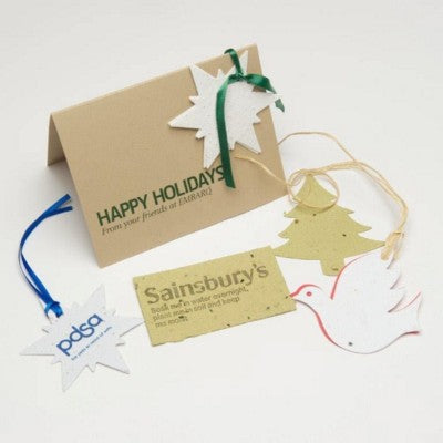 Branded Promotional ECO SEEDS IMPREGNATED CARD Seeded Paper From Concept Incentives.