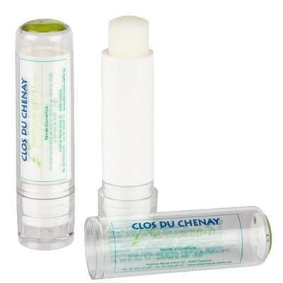 Branded Promotional LIP BALM STICK with Domed Label in Clear Transparent Lip Balm From Concept Incentives.