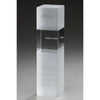 Branded Promotional CRYSTAL ICE CUBIX Award From Concept Incentives.