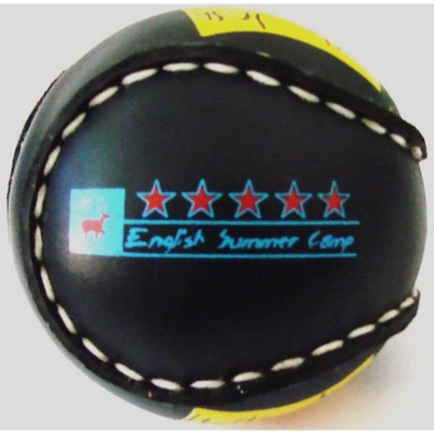 Branded Promotional PVC MOCK LEATHER COVERED HURLEY BALL Hurley From Concept Incentives.