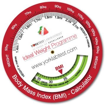 Branded Promotional INFO WHEEL Puzzle From Concept Incentives.