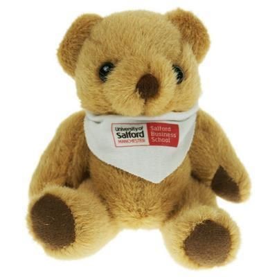 Branded Promotional 13CM BANDANA BEAR Soft Toy From Concept Incentives.