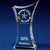 Branded Promotional CRYSTAL GLASS 3D SCULPTURED AWARD OR TROPHY AWARD Award From Concept Incentives.