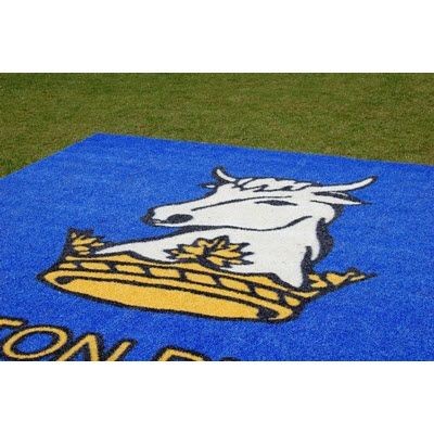 Branded Promotional PRINTED GRASS MAT Mat From Concept Incentives.