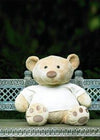 Branded Promotional MUMBLES SUPERSIZE HONEY BEAR Soft Toy From Concept Incentives.