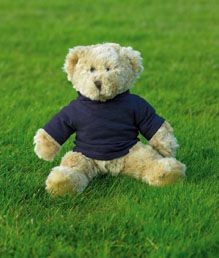 Branded Promotional MUMBLES TEDDY HOODED HOODIES Soft Toy From Concept Incentives.