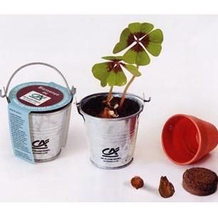 Branded Promotional MINI ZINC BUCKET GROWING KIT Seeds From Concept Incentives.