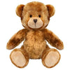 Branded Promotional PLUSH SOFT TOY CHARLES TEDDY BEAR Soft Toy From Concept Incentives.