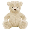 Branded Promotional PLUSH SOFT TOY JAMES III TEDDY BEAR Soft Toy From Concept Incentives.