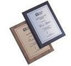Branded Promotional 8X6 INCH PLAQUE Award From Concept Incentives.