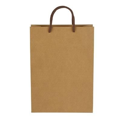 Branded Promotional PLUTO A4 SIZE BROWN KRAFT RECYCLABLE PAPER CARRIER BAG Bag From Concept Incentives.