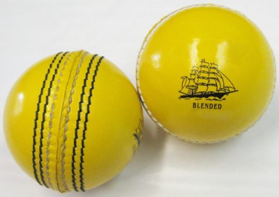 Branded Promotional PANTONE MATCHED CRICKET BALL Cricket Ball From Concept Incentives.