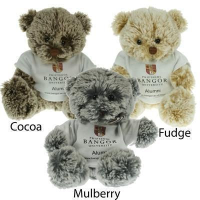 Branded Promotional 15CM PREMIER BEAR with Tee Shirt Soft Toy From Concept Incentives.