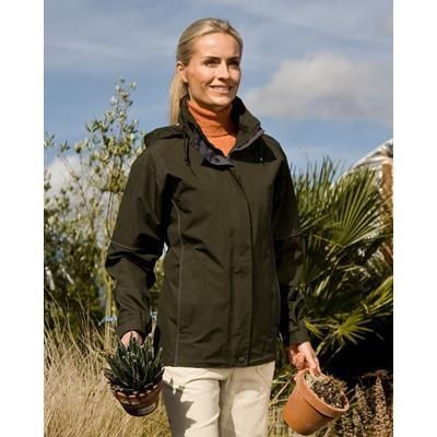 Branded Promotional RESULT LADIES URBAN FELL TECHNICAL JACKET Jacket From Concept Incentives.