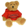 Branded Promotional 20CM SPARKIE BEAR with Hoody Soft Toy From Concept Incentives.