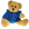 Branded Promotional 25CM SPARKIE BEAR with Hoody Soft Toy From Concept Incentives.