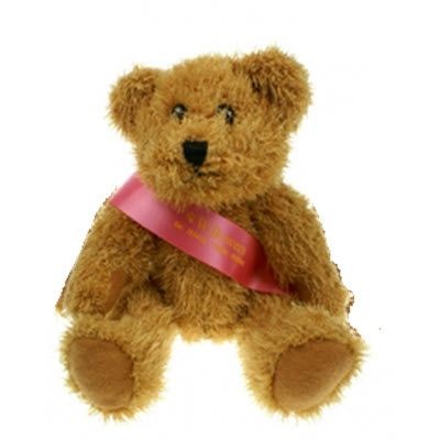 Branded Promotional 20CM SPARKIE BEAR with Sash Soft Toy From Concept Incentives.