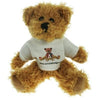 Branded Promotional 15CM SPARKIE BEAR with Tee Shirt Soft Toy From Concept Incentives.