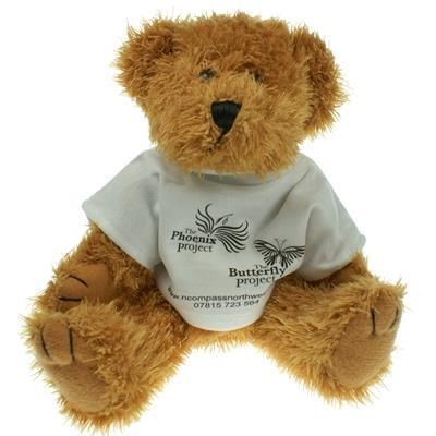 Branded Promotional 20CM SPARKIE BEAR with Tee Shirt Soft Toy From Concept Incentives.