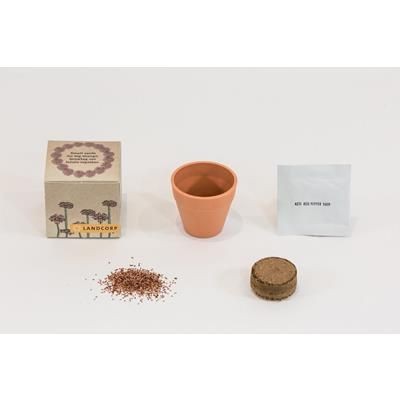 Branded Promotional GROW KIT SINGLE POT BOX Seeds From Concept Incentives.