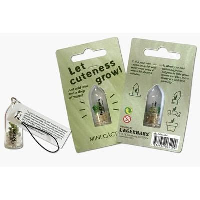 Branded Promotional CACTUS KEYRING Seeds From Concept Incentives.
