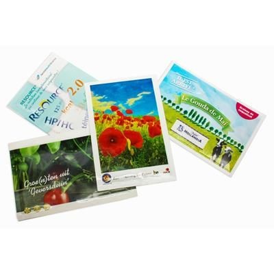 Branded Promotional SEEDS PACKET LARGE Seeds From Concept Incentives.