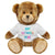 Branded Promotional PRINTED PROMOTIONAL SOFT TOY CHARLES TEDDY BEAR Soft Toy From Concept Incentives.