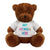 Branded Promotional PRINTED PROMOTIONAL SOFT TOY JAMES I TEDDY BEAR Soft Toy From Concept Incentives.