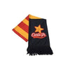 Branded Promotional FULL COLOUR STADIUM SCARF Scarf From Concept Incentives.