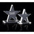Branded Promotional OPTICAL CRYSTAL STAR ON CRYSTAL BASE Award From Concept Incentives.
