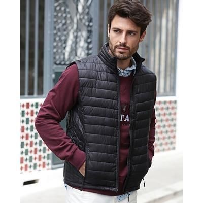 Branded Promotional TEE JAYS MENS ZEPELIN GILET BODYWARMER in Black Jacket From Concept Incentives.