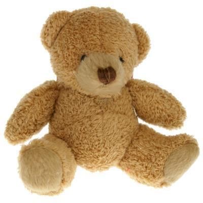 Branded Promotional 8CM PLAIN TUBBY BEAR Soft Toy From Concept Incentives.